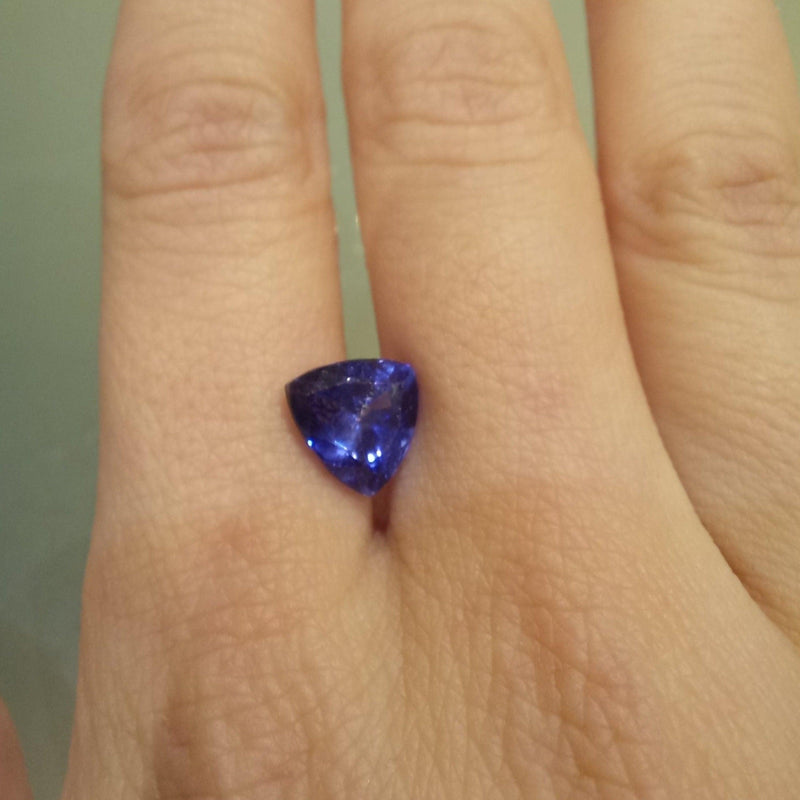 2.43ct Trilliant Tanzanite Stone with an E.G.L. Certificate - cape diamond exchange